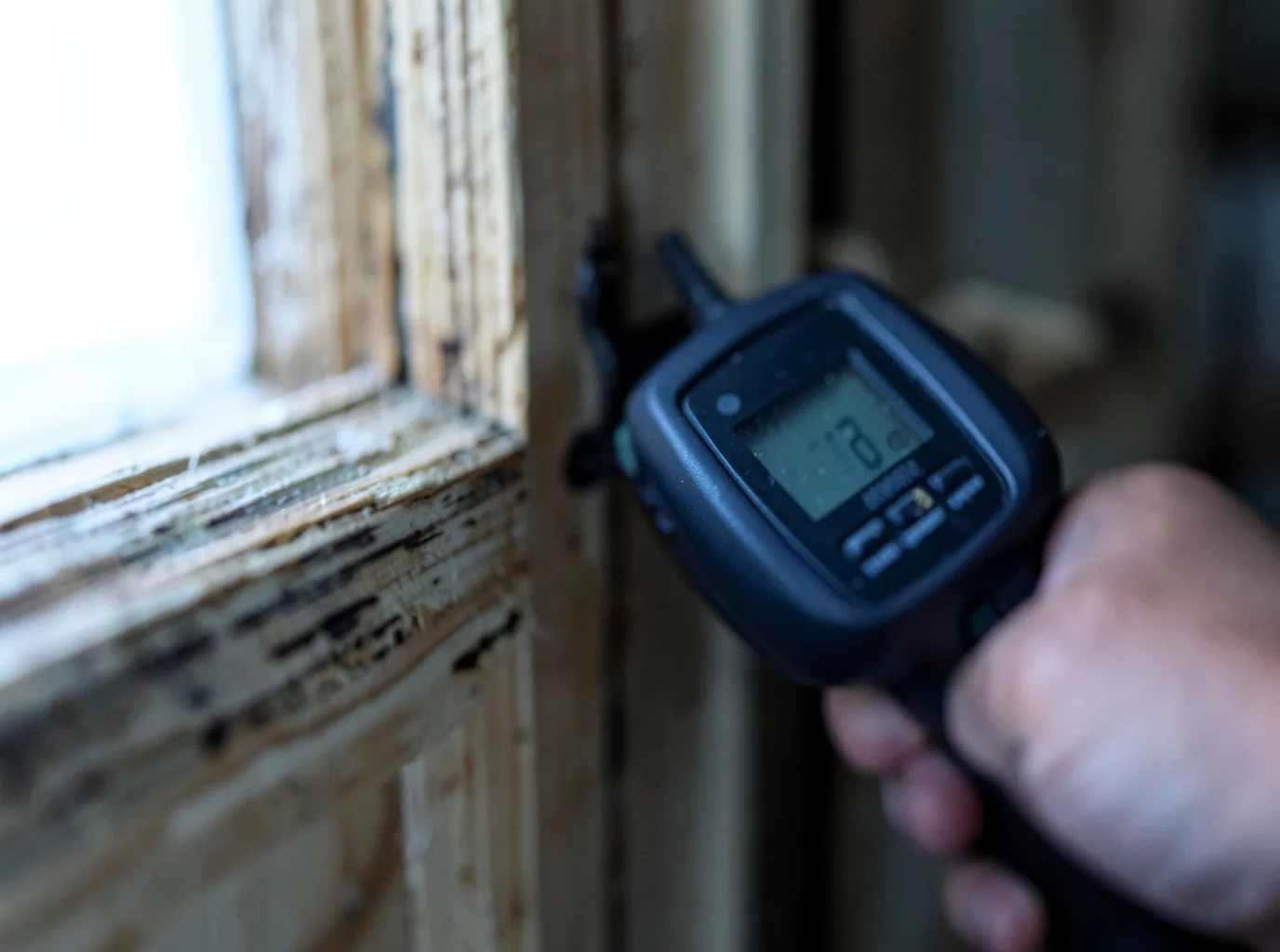 Moisture Inspection And Documentation in Bladenboro, NC